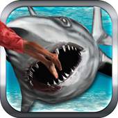 Wild Shark Attack Simulator 3D 1.4