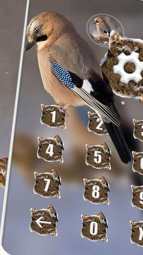 Jay Bird Theme स्क्रीनशॉट 5