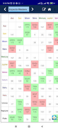 Kundli Chakra 2021 Pro screenshot 8