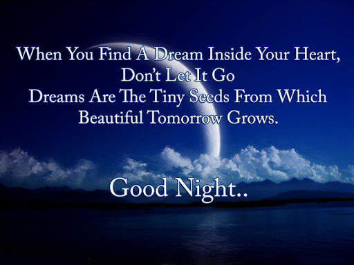 Good Night Images, Hindi Status, Wishes & Quotes screenshot 3
