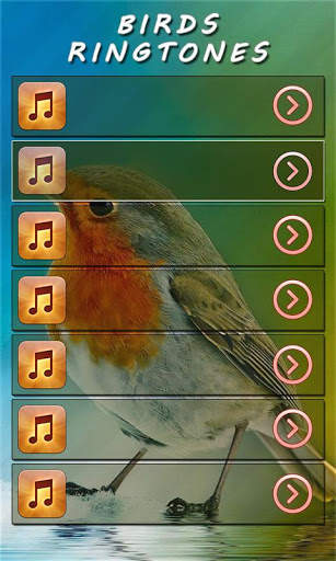 Latest Ringtones Free - Islamic & Birds Ringtones screenshot 5