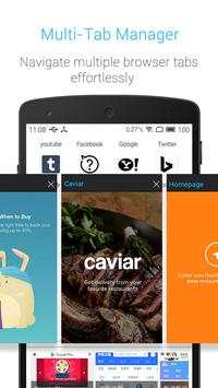 Amazing Browser screenshot 3