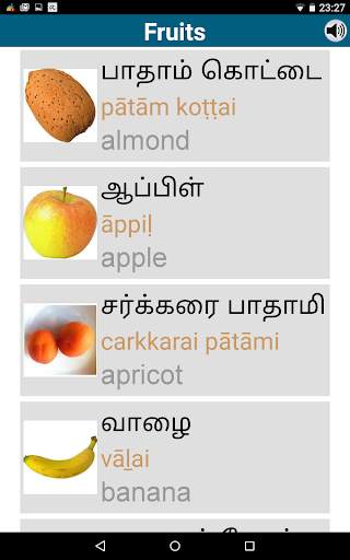 Learn Tamil - 50 languages screenshot 15