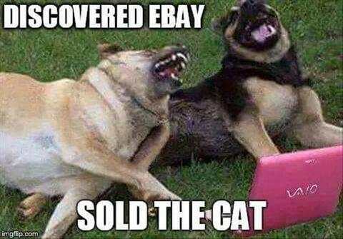 Funny Pictures Jokes screenshot 3