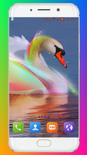 Swan Wallpaper HD screenshot 9