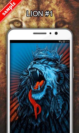 Lion Wallpapers screenshot 2
