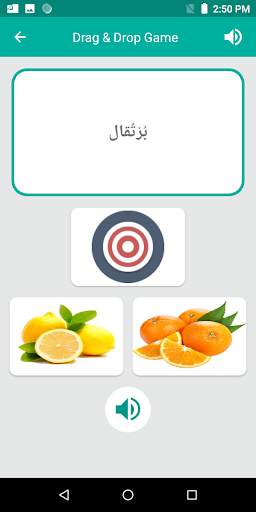 Indonesian Arabic Translator скриншот 5