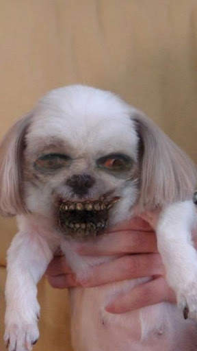 ZombieBooth screenshot 5