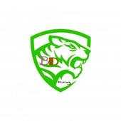 BD King VPN 1.0
