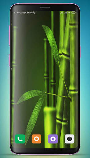 Bamboo Wallpaper HD screenshot 12