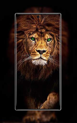 AMOLED Wallpapers & GIFs screenshot 2