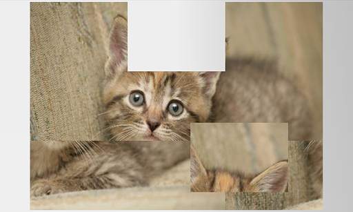 Photo Collage - Kittens Cat screenshot 1