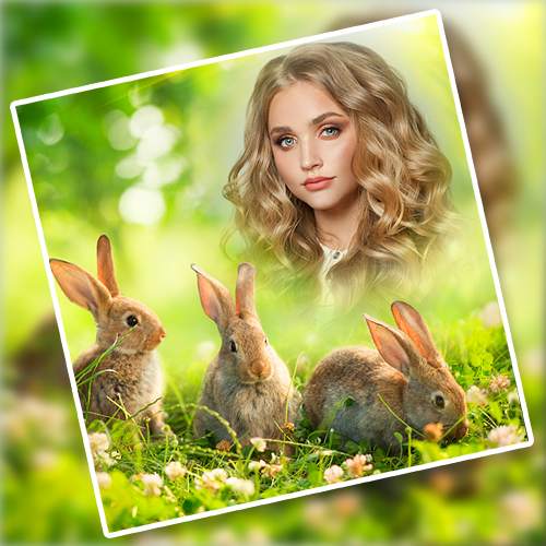 Wild Animal Photo Frames screenshot 3