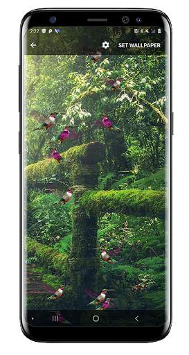 Birds Flying Live Wallpaper screenshot 1