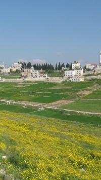 Palestine Wallpapers HD screenshot 9