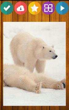 Bear Bears Puzzle screenshot 3