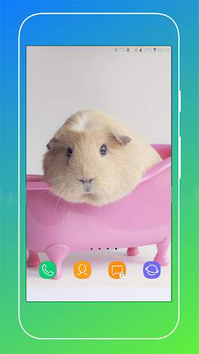 Guinea Pig Wallpaper screenshot 15