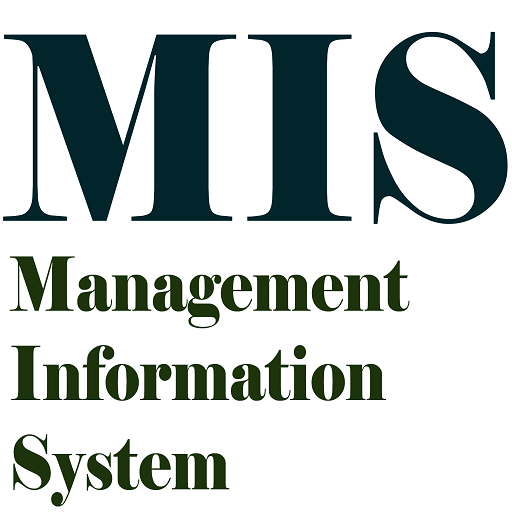 Management information system icon