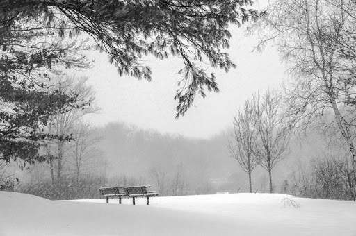 Winter Wallpapers | hd backgrounds screenshot 9