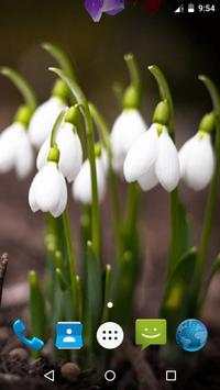 Magic Touch - Spring Flowers screenshot 1
