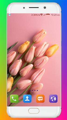 Tulip Wallpaper HD screenshot 14