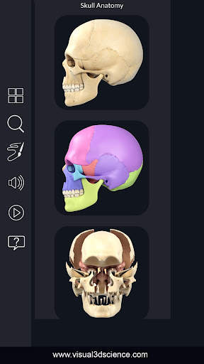 My Skull Anatomy screenshot 2