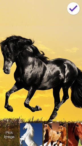 Horse PIN Lock screenshot 3