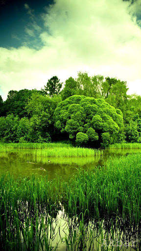 Green Wallpaper 4K, Green Shades background screenshot 15