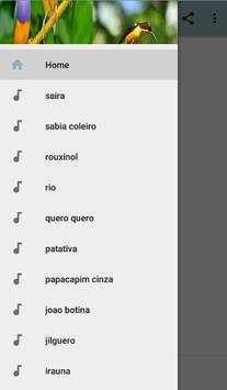 Brazilian Bird Song screenshot 1