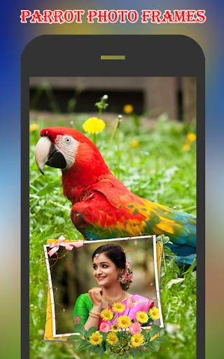 Parrot Photo Frames screenshot 2