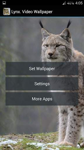 Lynx. Video Wallpaper स्क्रीनशॉट 6