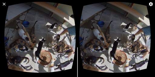 GizmoVR Lite: 360 Video & Tube screenshot 4