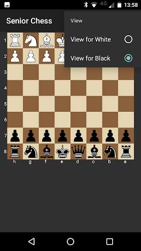 Senior Chess screenshot 5