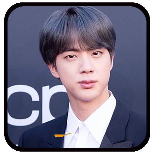 Jin BTS Wa Sticker 1.1