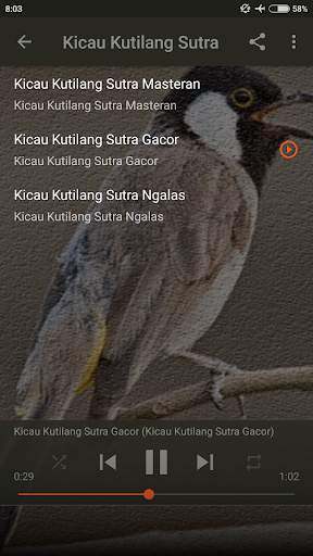 Suara Burung Kutilang Ribut screenshot 5
