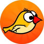 Birds game 1.0