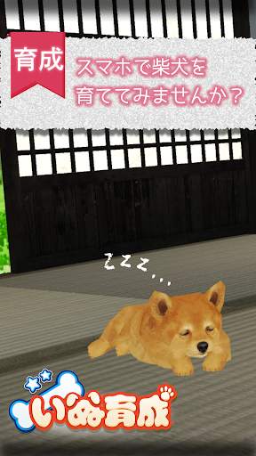 Shibainu Simulation Game 3D screenshot 1