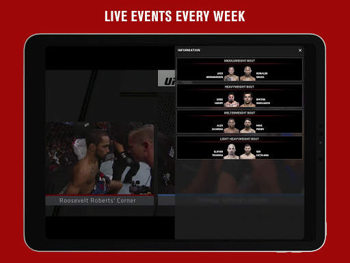 UFC screenshot 8