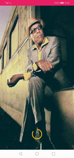 Ali Birraa Music screenshot 6
