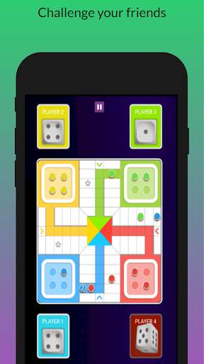 Ludo Pachisi screenshot 3