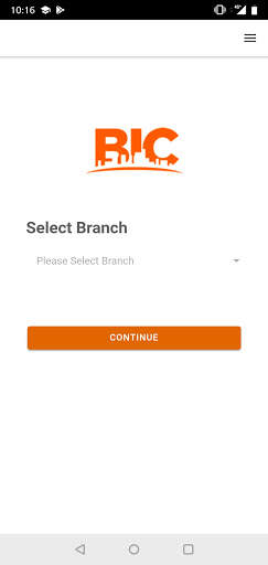 BIC Clean screenshot 1