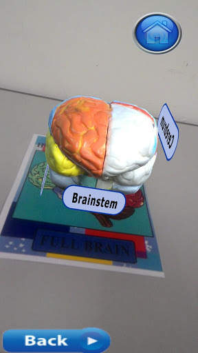 Anatomy of CNS screenshot 2
