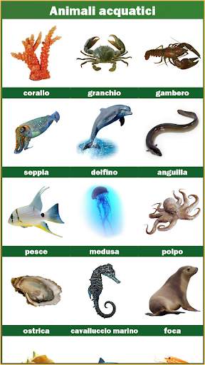Animali e uccelli screenshot 3