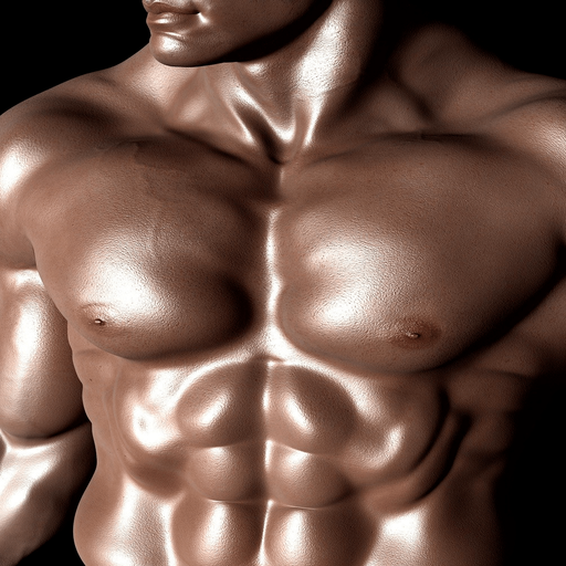 Easy Body  Workouts at Home ( Without Equipment) icon
