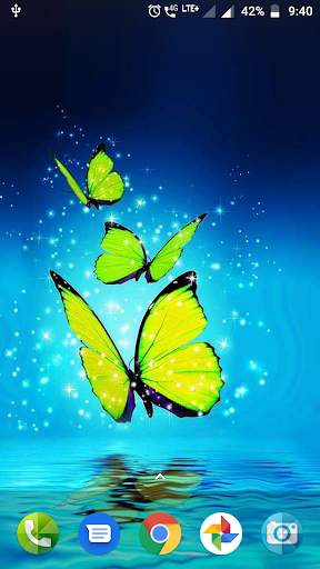 Butterfly Wallpaper HD screenshot 3