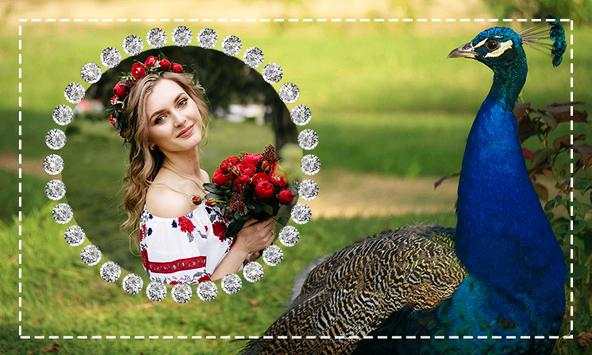 Peacock Photo Frames screenshot 2