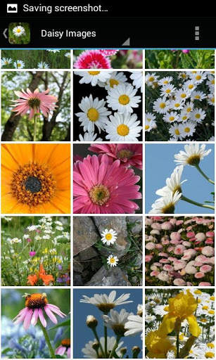 DaisyBG: Flower Wallpaper screenshot 14