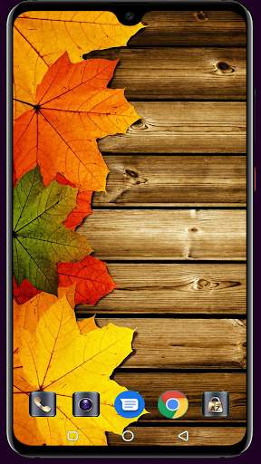 Autumn Wallpaper 4K Latest screenshot 13