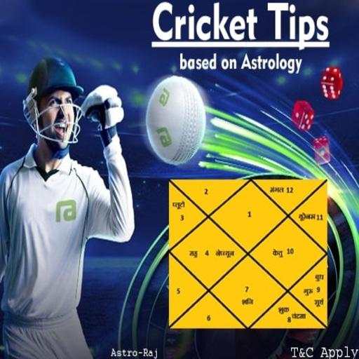 CRICKET MATCH WINNER PREDICTION screenshot 3