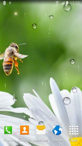 Daisies Flowers Live Wallpaper screenshot 6